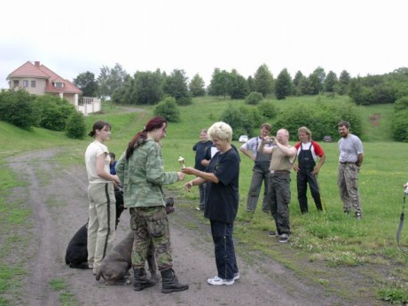 77.jpg