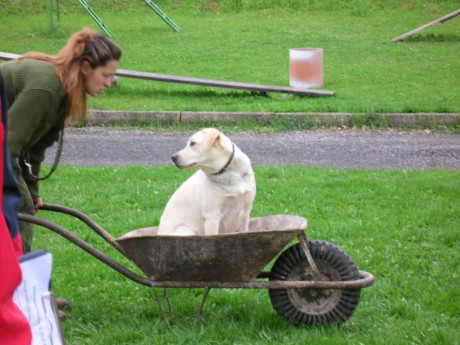 Pohárek 2006 - Snad mě nevyklopíš1.jpg