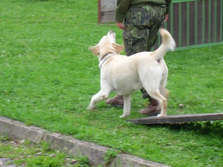 Pohárek 2006 - Zvládli jsme i kladinu1.jpg