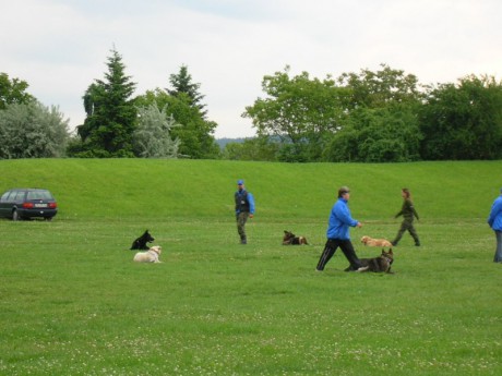 Dětský den 2006 - Odložení za pochodu.JPG