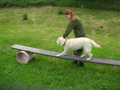 Dětský den 2006 - Sára na pohybující se lávce.JPG