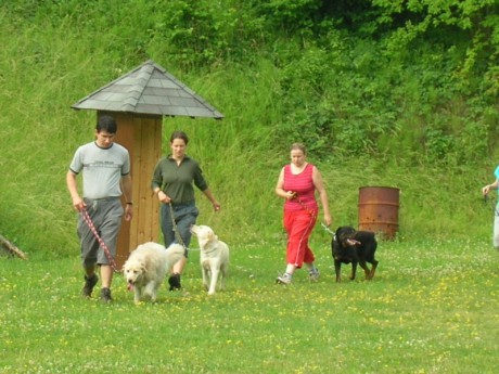 Výcvikový víkend 2006-DSCN2725.JPG