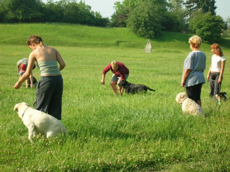 Výcvikový víkend 2006-DSCN2916.JPG