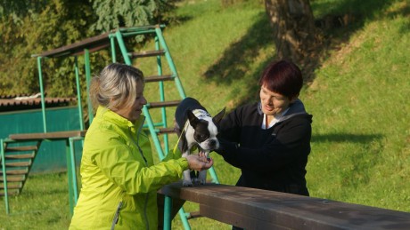DSC08906 (2)