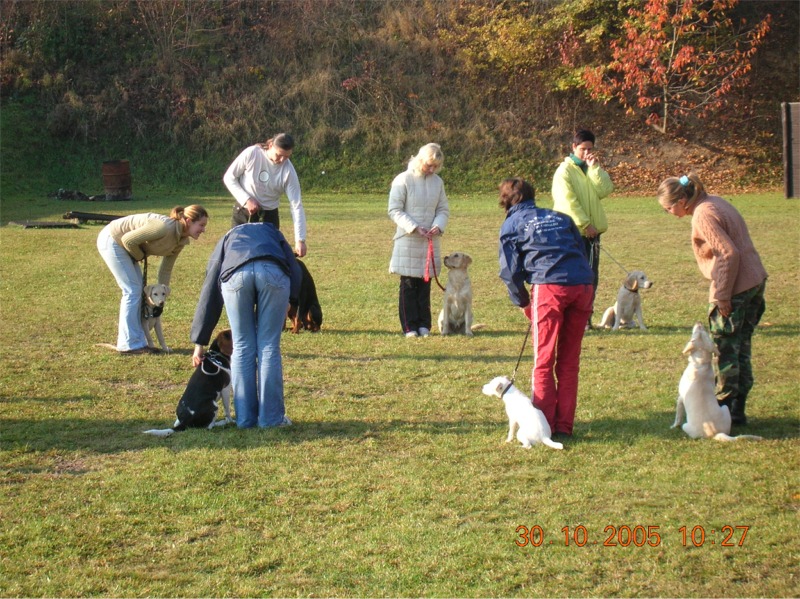 Výcvik sťěňat 2005 -Ju to je kamarádu.jpg