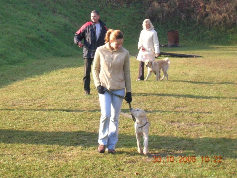 Výcvik sťěňat 2005 -Jde mi to, co.jpg