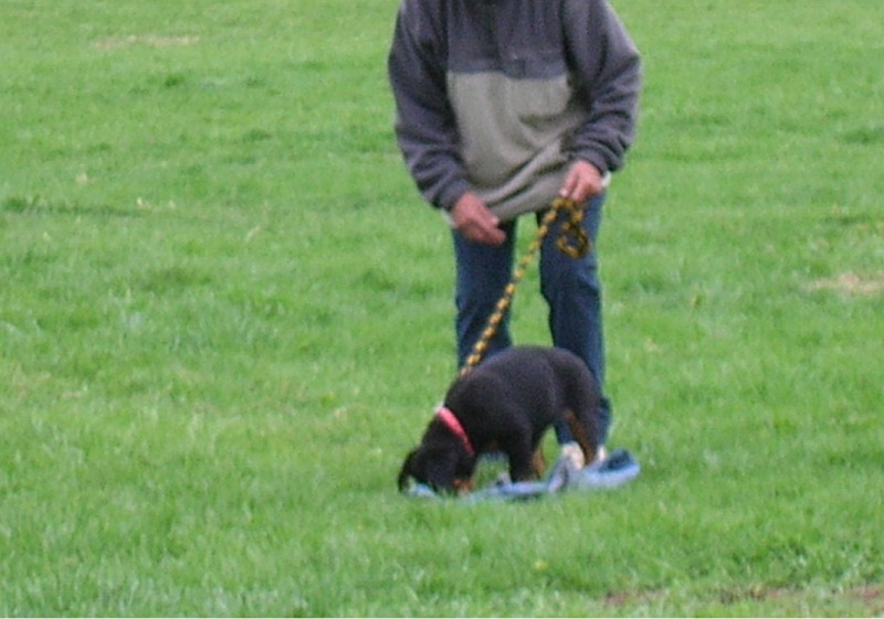 Pohárek 2006 - Naše kamarádka Nolča je trhač1.jpg