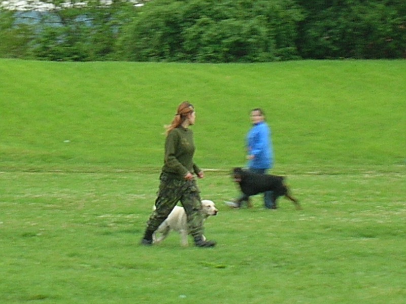 Dětský den 2006 - Chuze u nohy.JPG