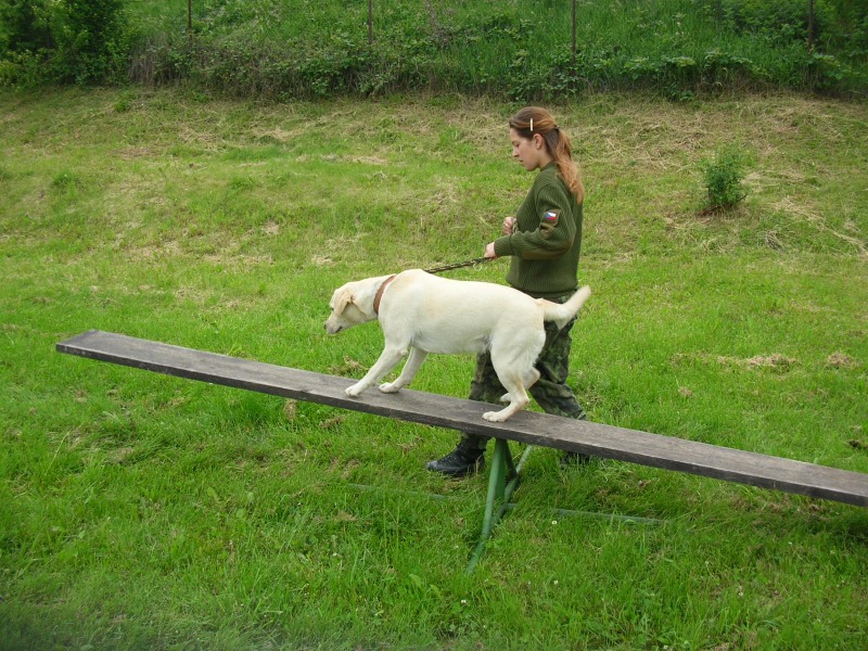Dětský den 2006 - Sára na houpačce.JPG
