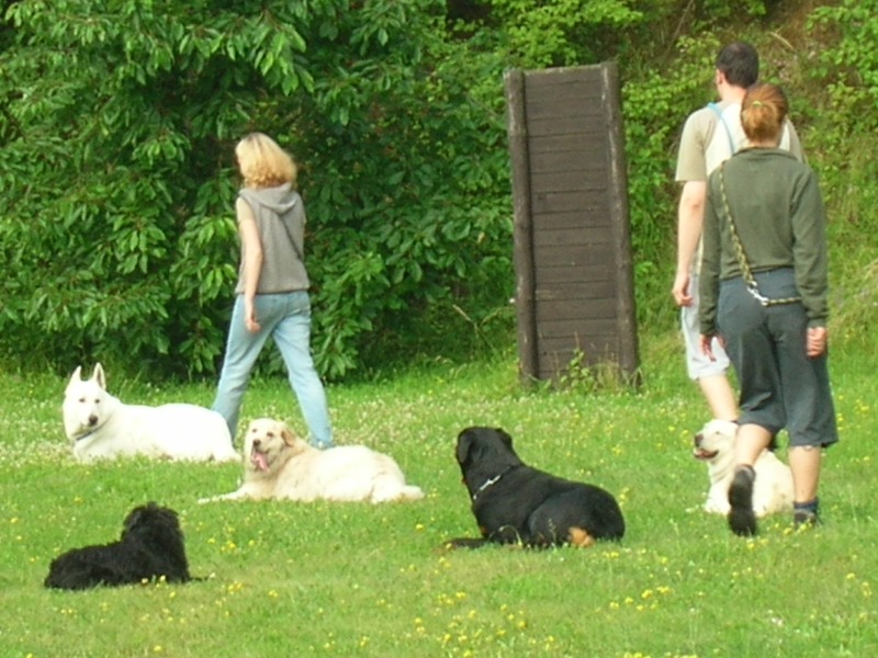 Výcvikový víkend 2006-DSCN2732.JPG