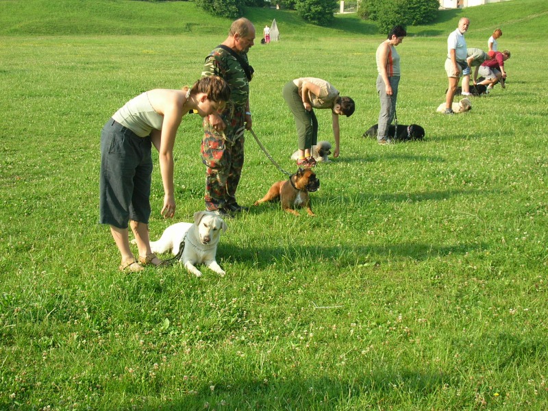 Výcvikový víkend 2006-DSCN2901.JPG