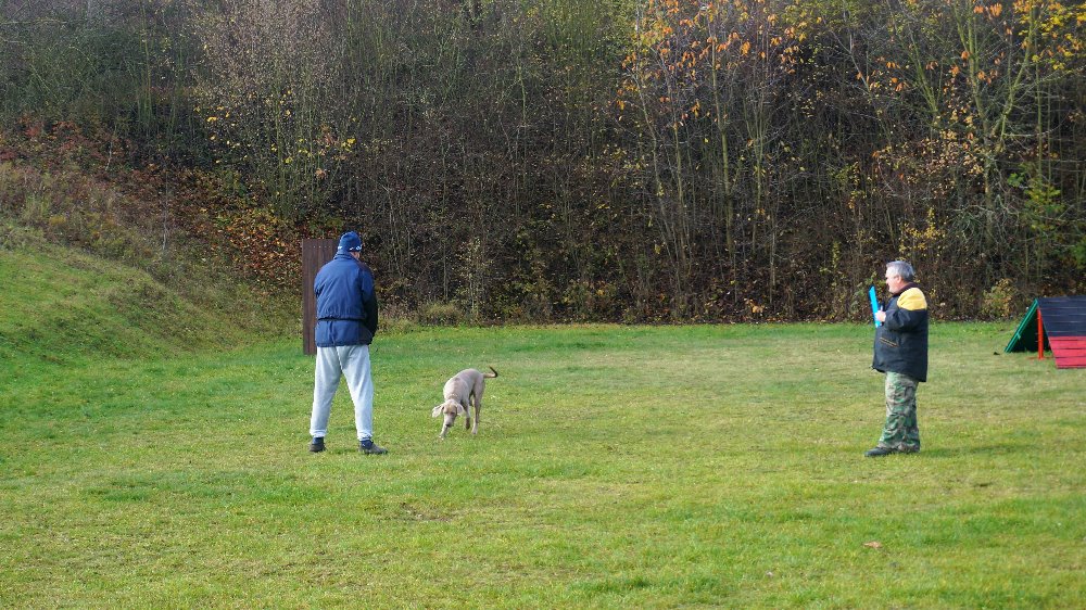 DSC09064 (2)