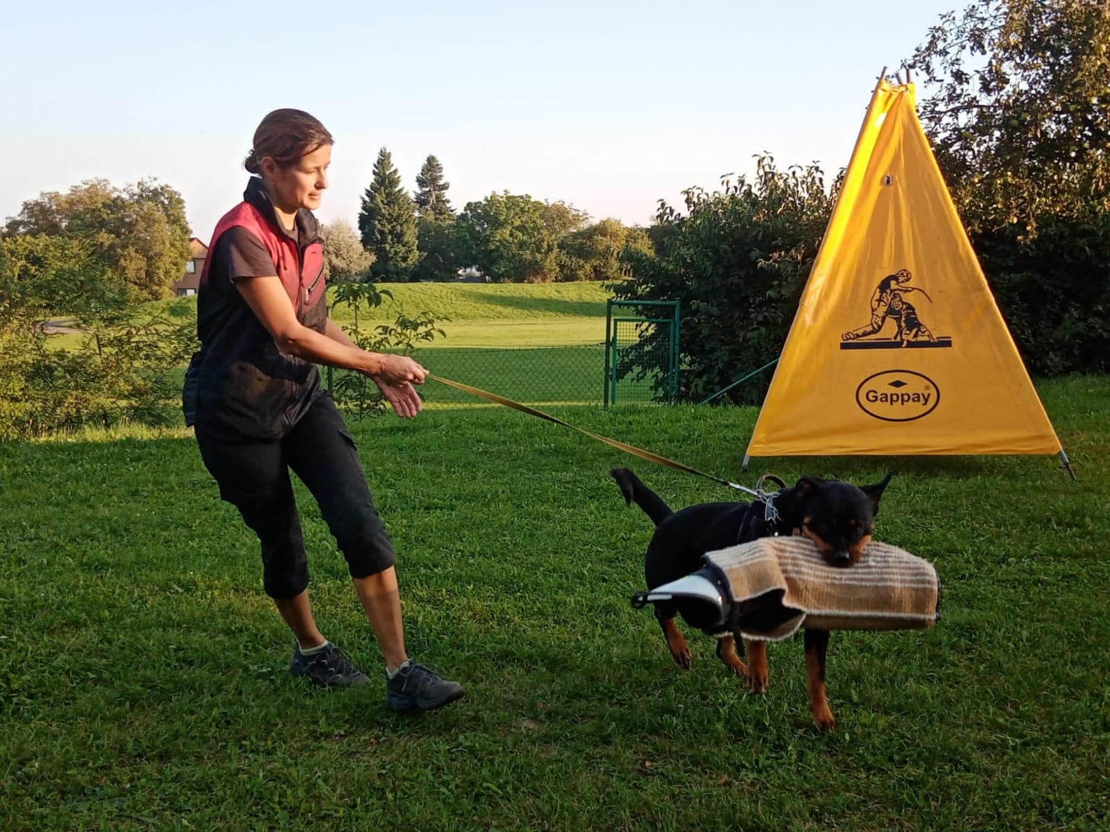 IMG-20210906-WA0017