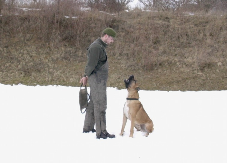 DSCN1651_800.jpg