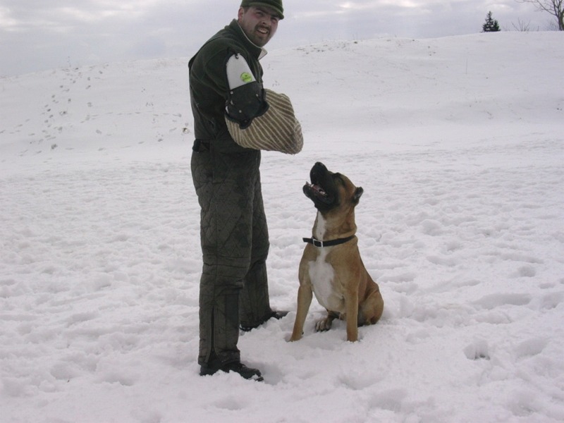 DSCN1657_800.jpg