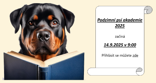 akademie.png