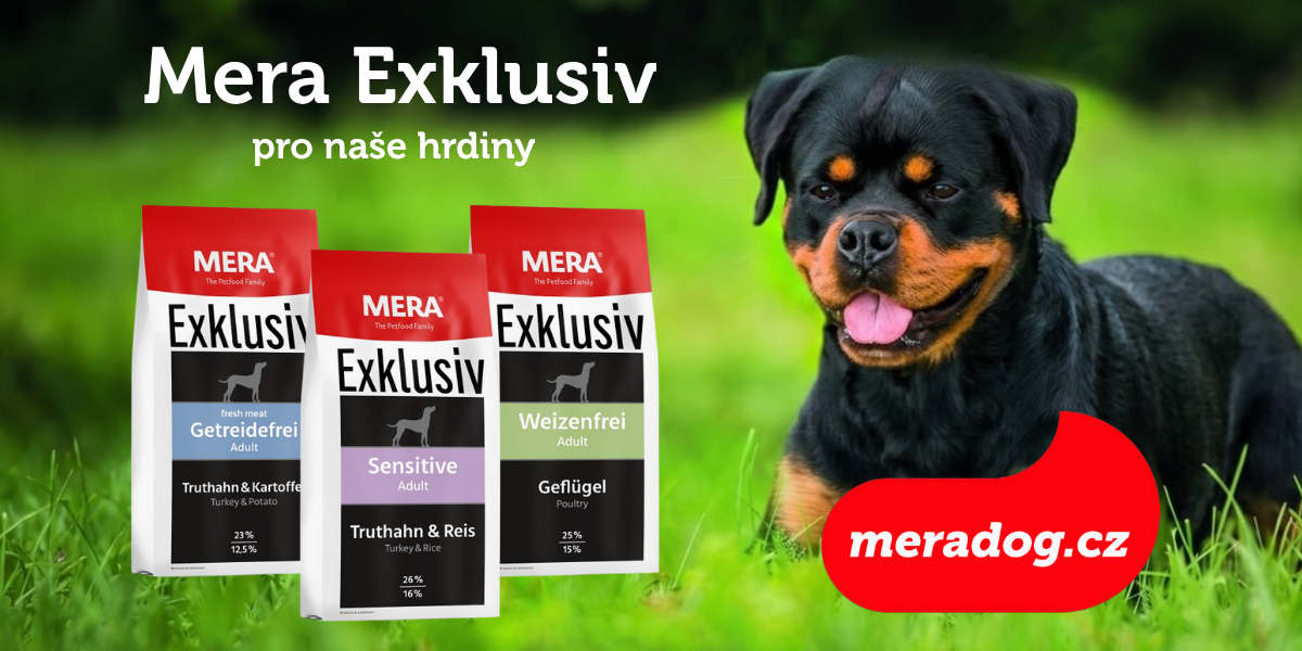 Banner Mera Exklusiv