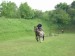 DSCN2101.JPG