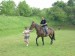 DSCN2102.JPG