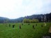 _5064224 (2)