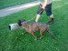 IMG-20210906-WA0008