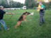 IMG-20210906-WA0039
