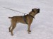 DSCN1640_800.jpg