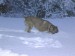 DSCN1586_800.jpg