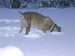 DSCN1587_800.jpg