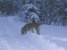 DSCN1588_800.jpg
