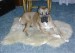 DSCN1598_800.jpg