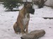DSCN1603_800.jpg