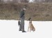 DSCN1651_800.jpg