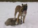 DSCN1663_800.jpg
