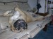 DSCN3782_800.jpg